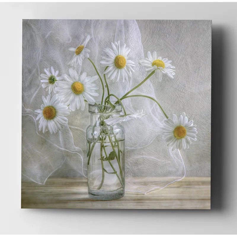 Daisies Photograph | Wayfair North America