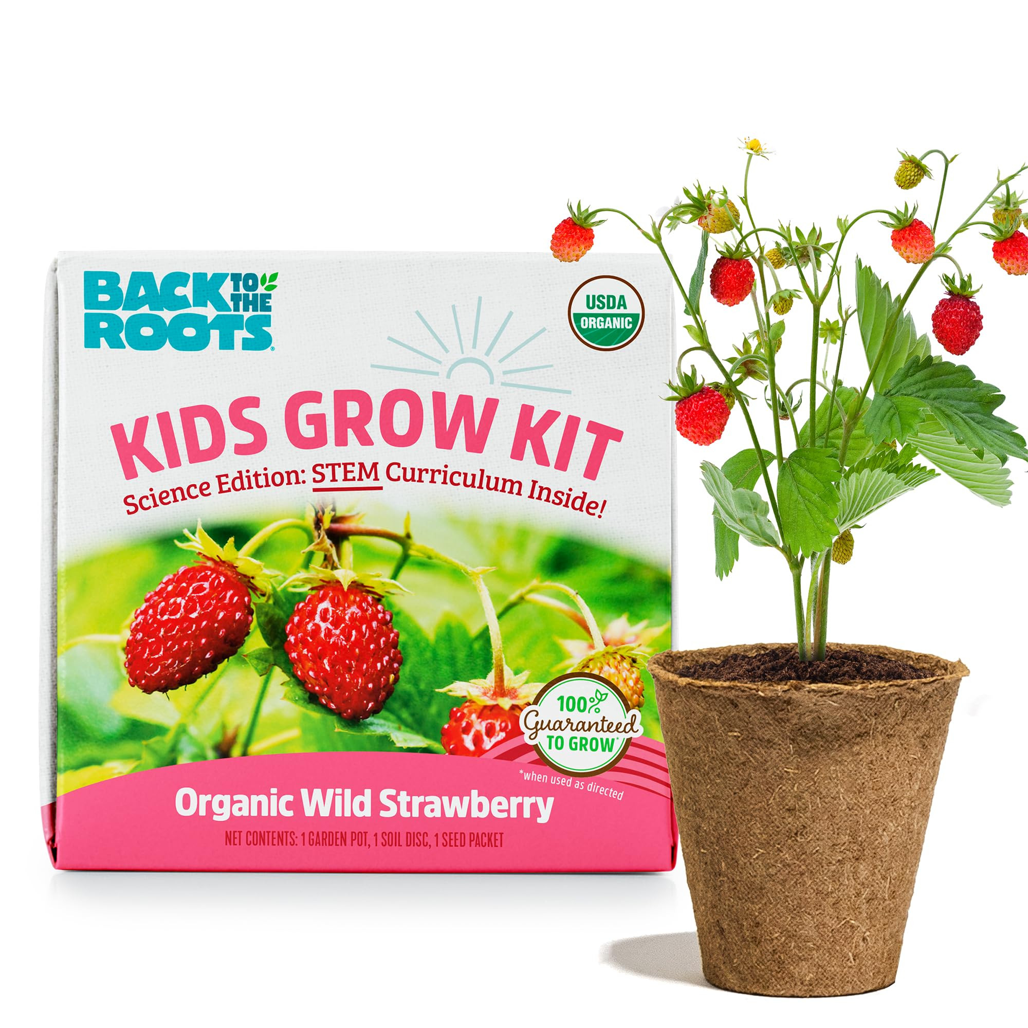 Back to The Roots Organic Wild Strawberry Grow Kit | Amazon (US)