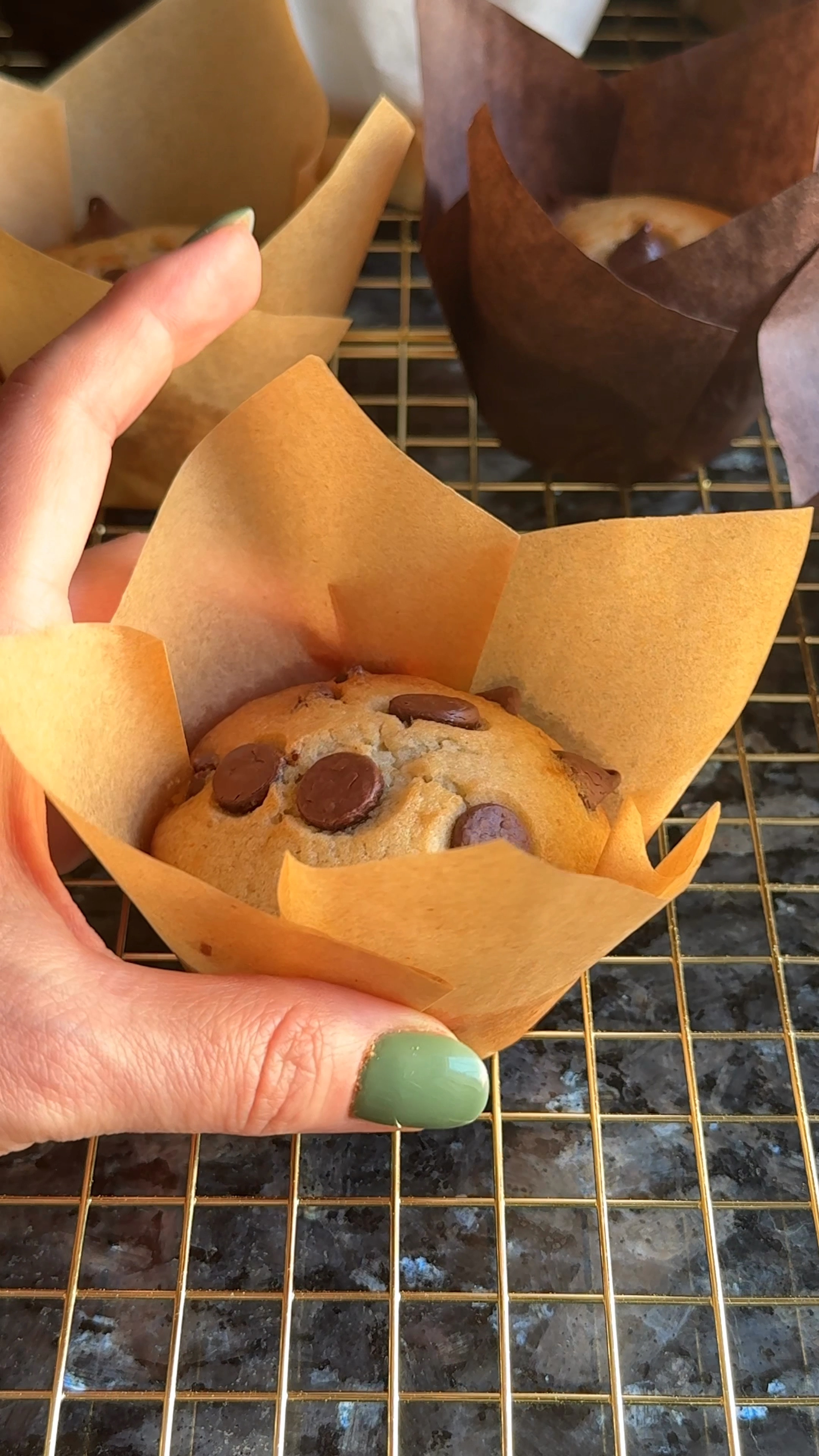 Stylish cupcake liners from unbleached baking paper 

#LTKHome #LTKParties #LTKFindsUnder50