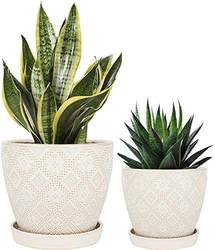 Docrin Ceramic Planter Pots, 6.6+5.5 Inch, Plant Pots with Drainage Hole and Saucer for Succulent... | Amazon (US)
