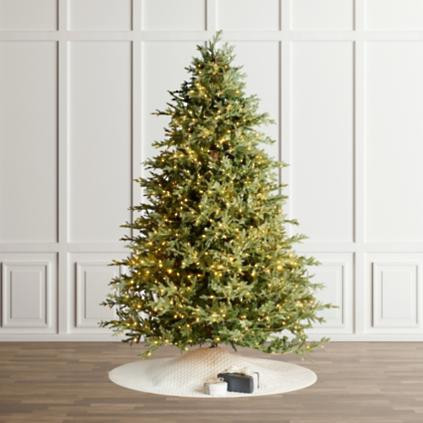 Classic Fraser Fir Full Profile Tree | Frontgate | Frontgate