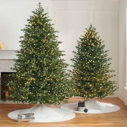 Classic Fraser Fir Full Profile Tree | Frontgate | Frontgate