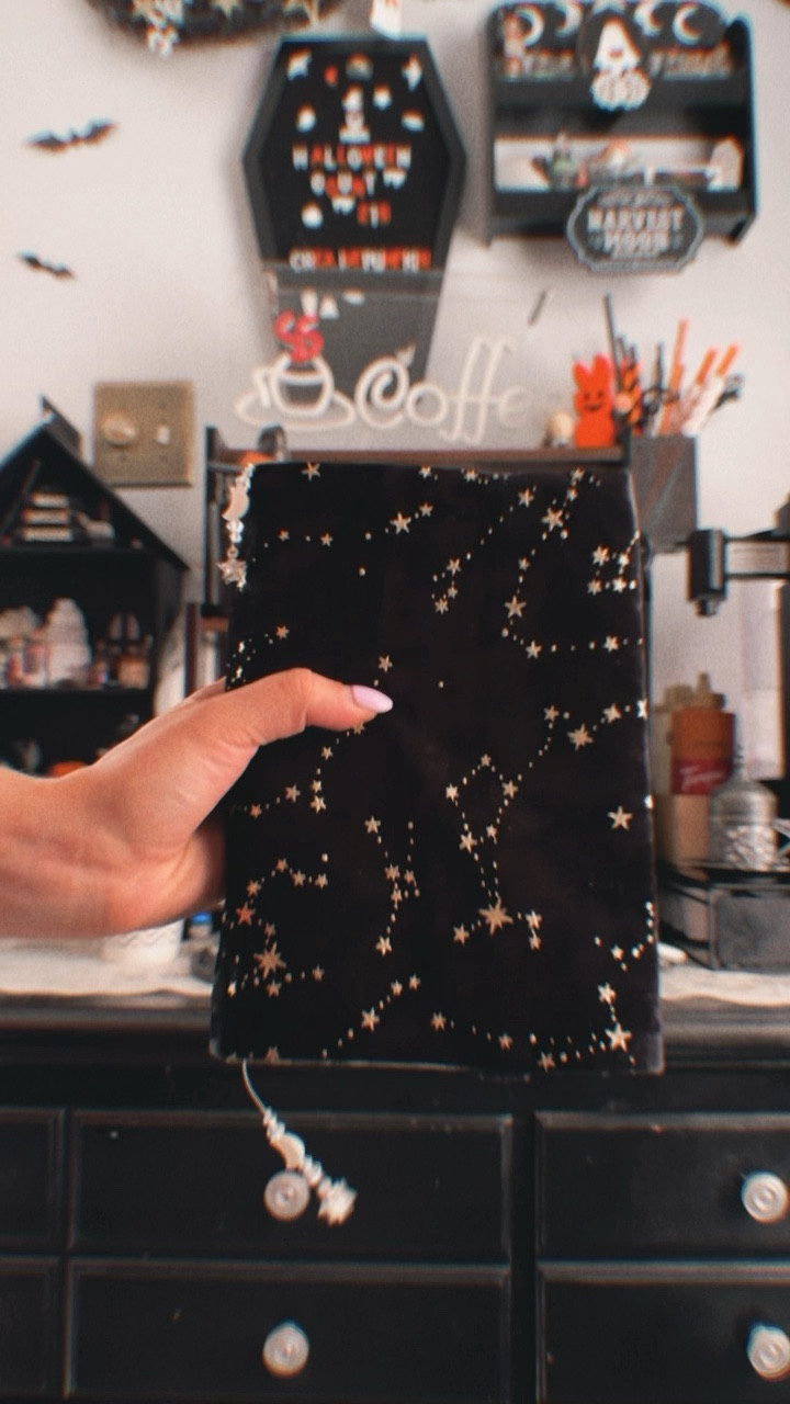 Amazon paper book cover protector ✨

#LTKSeasonal #LTKVideo #LTKsalealert