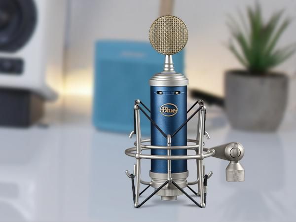 Bluebird XLR Condenser Microphone for Recording and Streaming, Large-Diaphragm Cardioid Capsule, Sho | Amazon (US)
