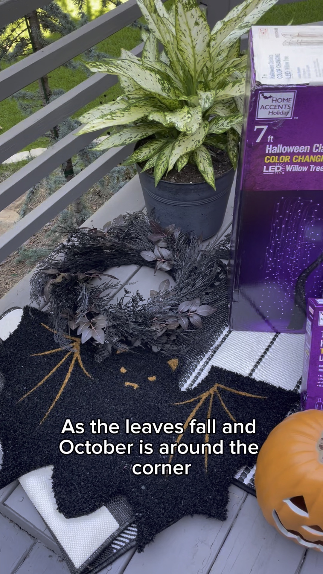 🎃 Just revamped my front porch with these  Halloween bat lights! 🦇✨ 

#LTKhome #LTKSeasonal #LTKHalloween