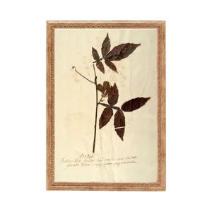 PRINTED Herbarium I. Vintage Dried Flower Art. Printed and | Etsy | Etsy (US)