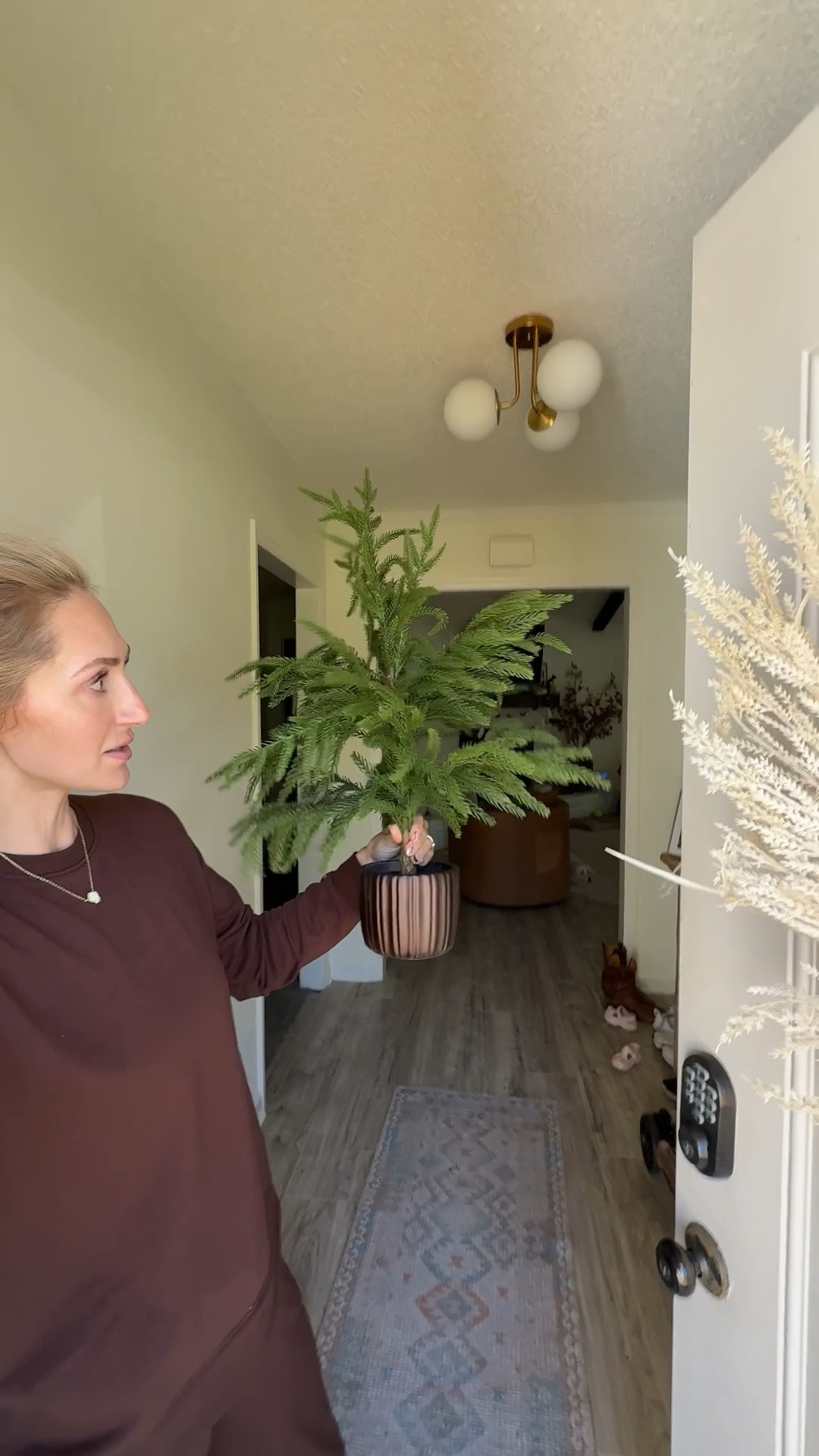 Bought two of these to put indoor and outdoor! The size of this little tree is perfect for holiday decor. 

#LTKFindsUnder50 #LTKSeasonal #LTKHoliday