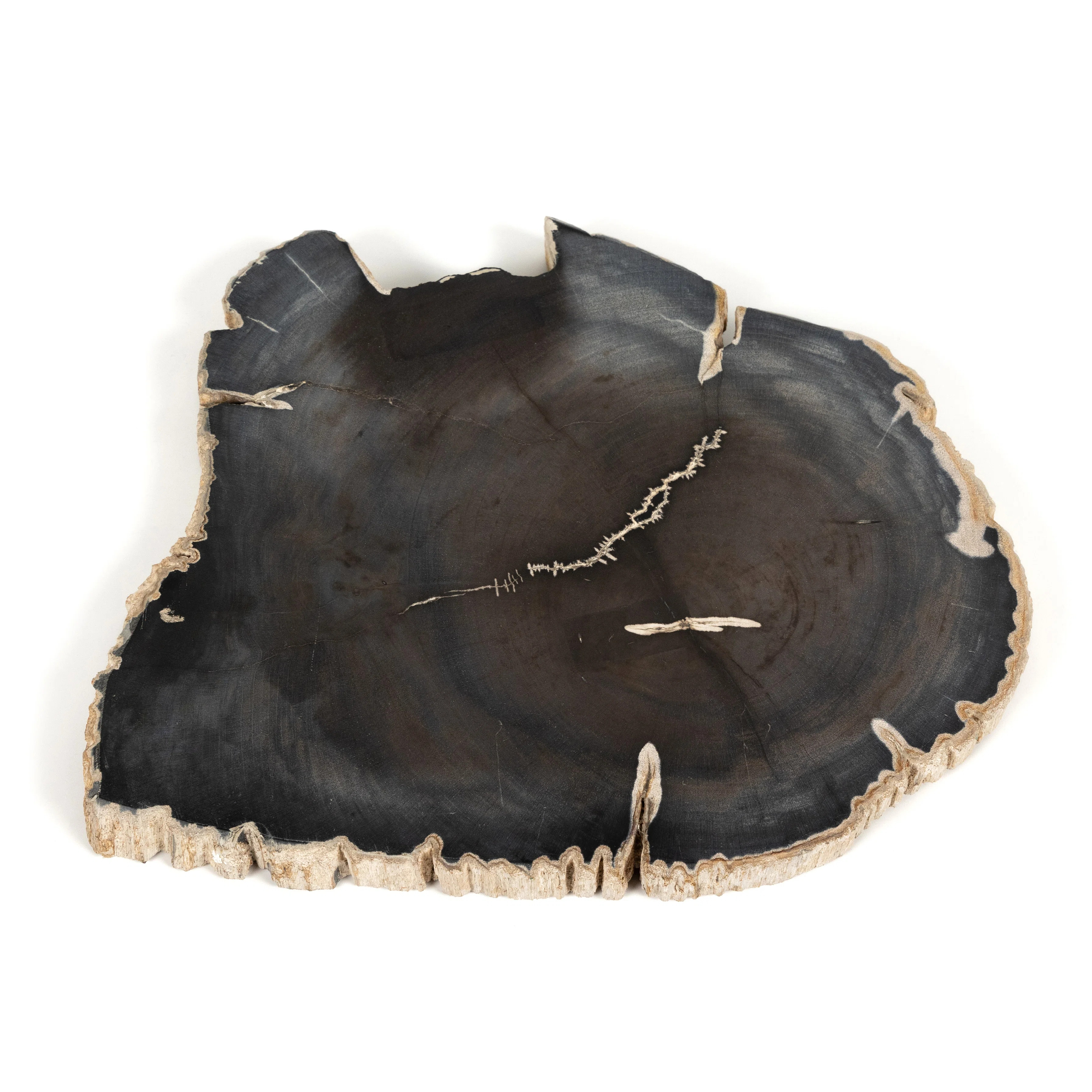 Petrified Stoneware Decorative Plate | Perigold