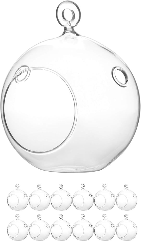 WGV Hanging Terrarium Globe, Width 4", Height 4.75", DIY Air Succulent Planter, Clear Glass Vase ... | Amazon (US)
