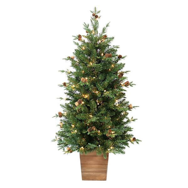 (A35) Pre-Lit LED Potted Noble Fir Christmas Tree, 4' | At Home