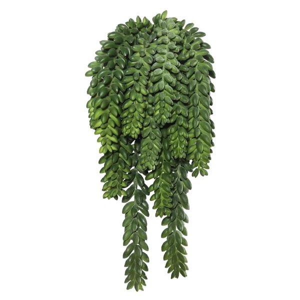 13'' Faux Succulent Plant | Wayfair North America