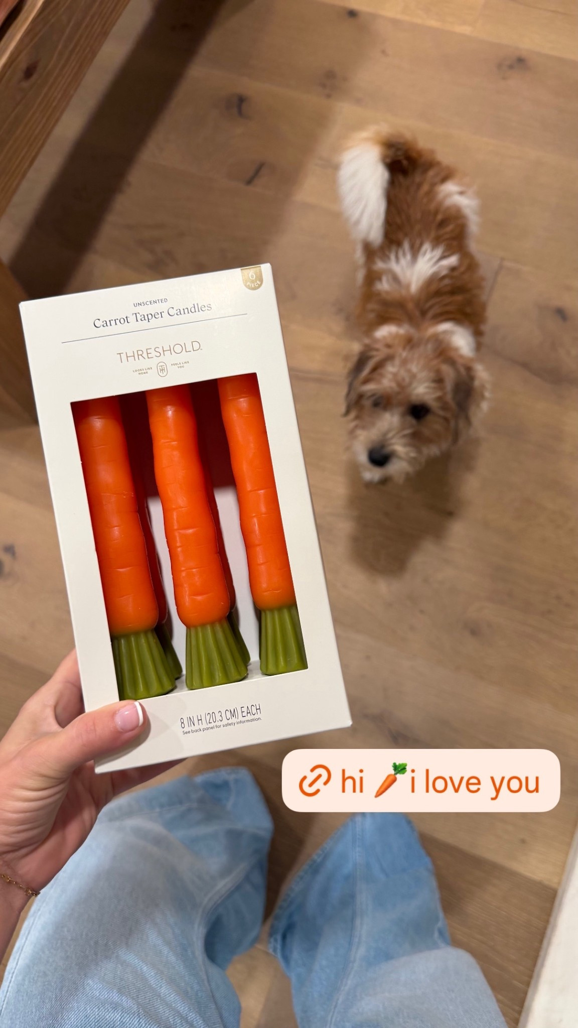 Target Easter home decor. Carrot candle sticks 

#LTKSeasonal #LTKSaleAlert #LTKHome