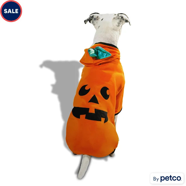 Bootique Pumpkin Jack-o-Lantern Pet Hoodie, Large | Petco