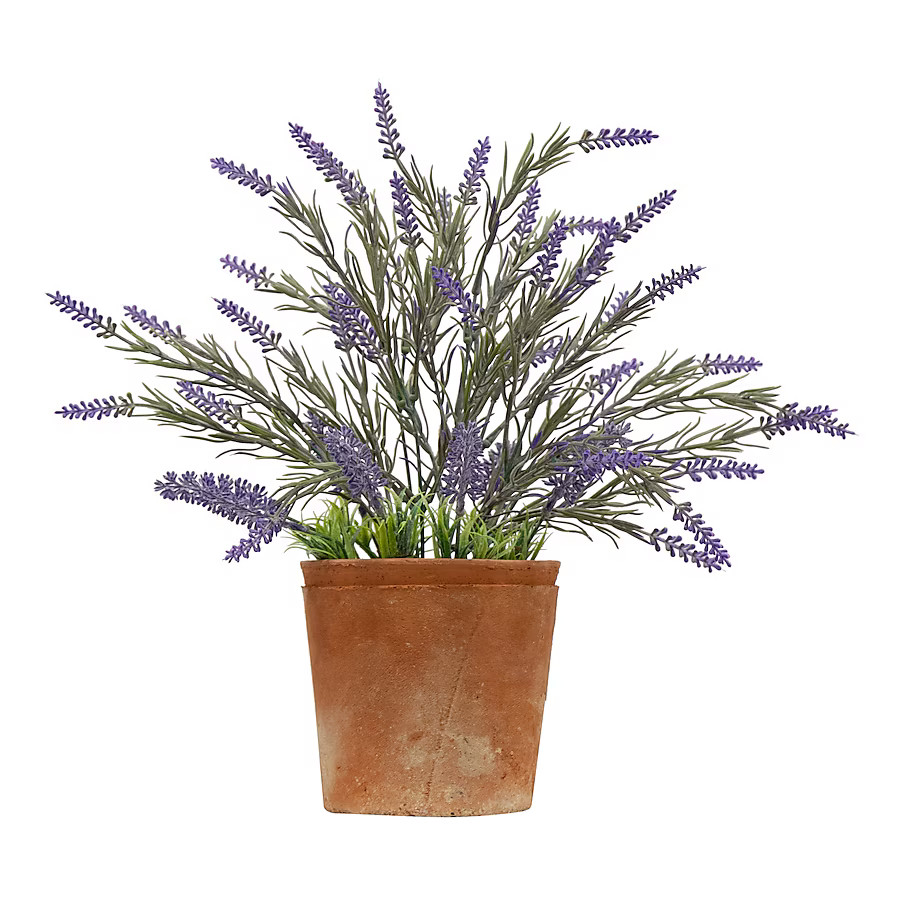 allen + roth 14-in Purple Indoor Desktop Lavender Artificial plant | Lowe's