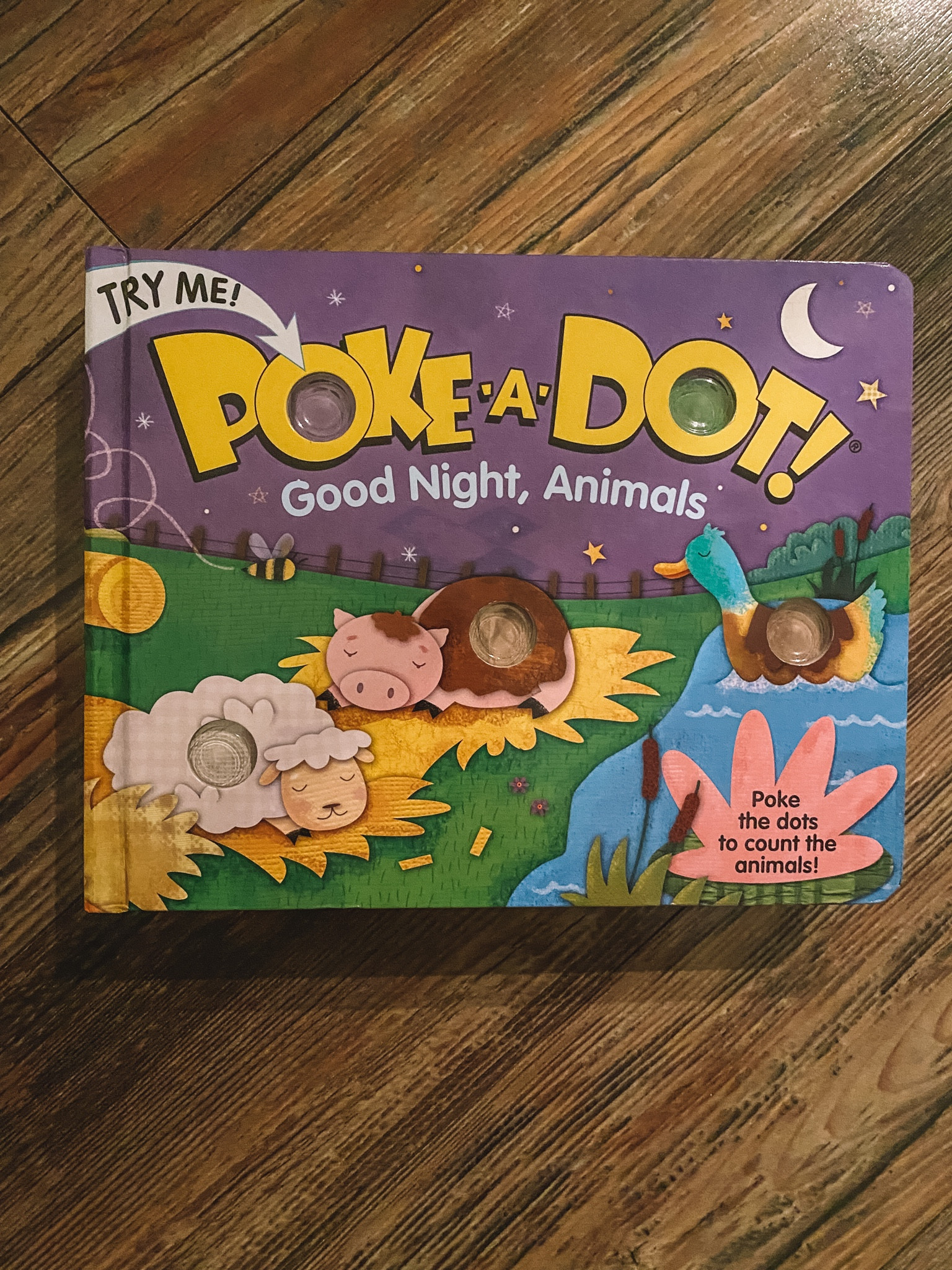 Toddler book. Poke a dot books 

#LTKGiftGuide #LTKbaby