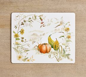 Bedford Harvest Cork Placemat - Set of 4 | Pottery Barn (US)