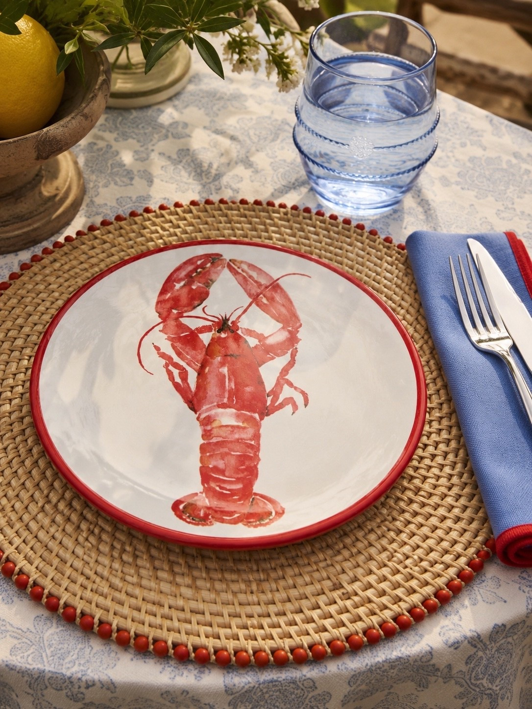 Americana Summer Table, Styled to Perfection 🇺🇸🦞

Nothing says summer gatherings quite like a beautifully layered coastal-inspired tablescape. From the woven rattan charger and classic lobster dinner plate to the soft blue linen napkin and coordinating glassware, every detail feels timeless, inviting, and ready for a memorable evening with family and friends. ❤️🤍💙

Whether you’re hosting a Fourth of July celebration, a lobster bake, or a casual backyard dinner, this place setting brings the perfect blend of coastal charm and elevated Americana style. It’s festive without feeling overdone and creates a table your guests will be talking about long after dessert.

Follow @farmtotablecreations on Instagram for more cozy home finds, seasonal entertaining inspiration, and elevated decor ideas 🤍

#LTKHome #AmericanaDecor #FourthOfJulyDecor #SummerTablescape #CoastalStyle #OutdoorEntertaining #PatrioticDecor #TableSetting #LobsterBake #SummerHosting #RedWhiteAndBlue #CoastalLiving #HomeDecorFinds #LTKStyle #FarmToTableCreations

#LTKSeasonal #LTKHome #LTKSaleAlert