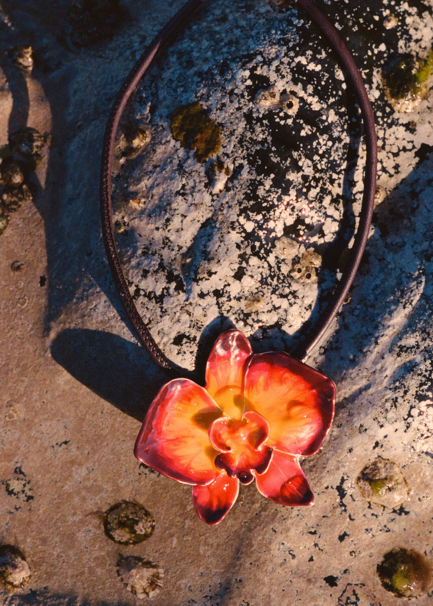 Maxi-flower stiff collar | Mango (US/MX/AU)