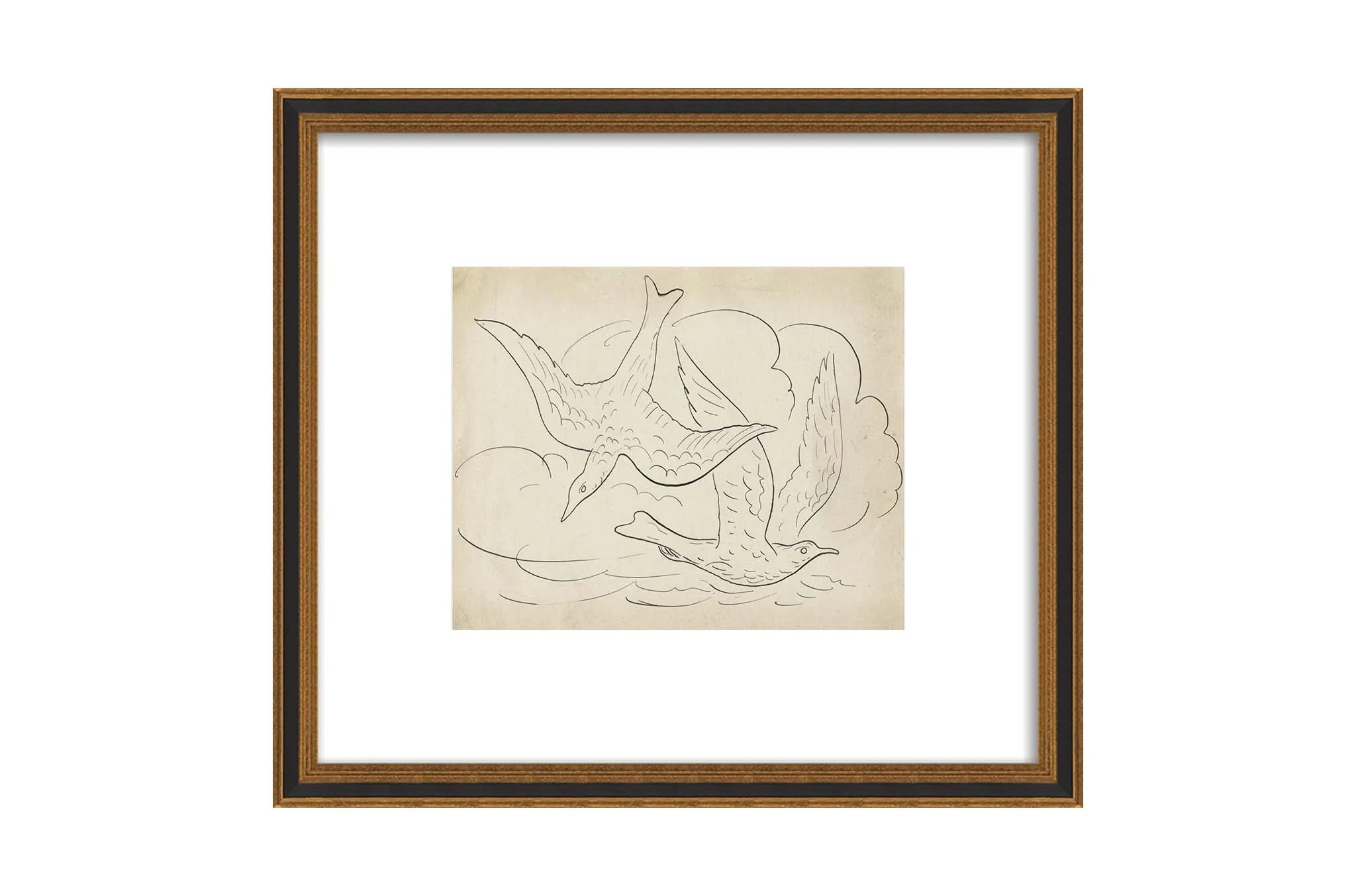 Love Birds | North and Finch