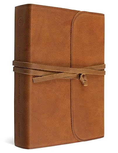 ESV Single Column Journaling Bible, Large Print (Brown, Flap with Strap) | Amazon (US)