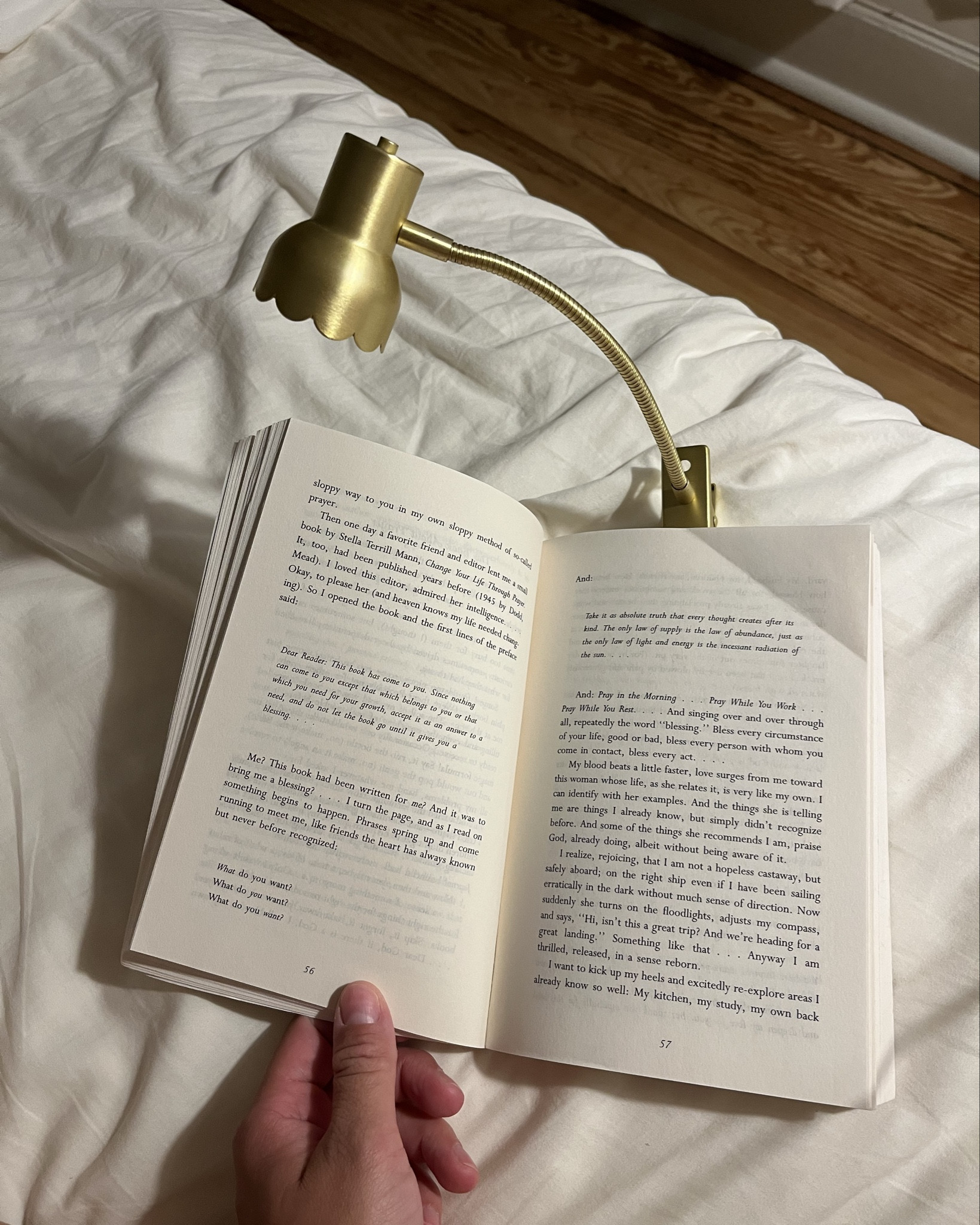 Cutest rechargeable scalloped reading light! 