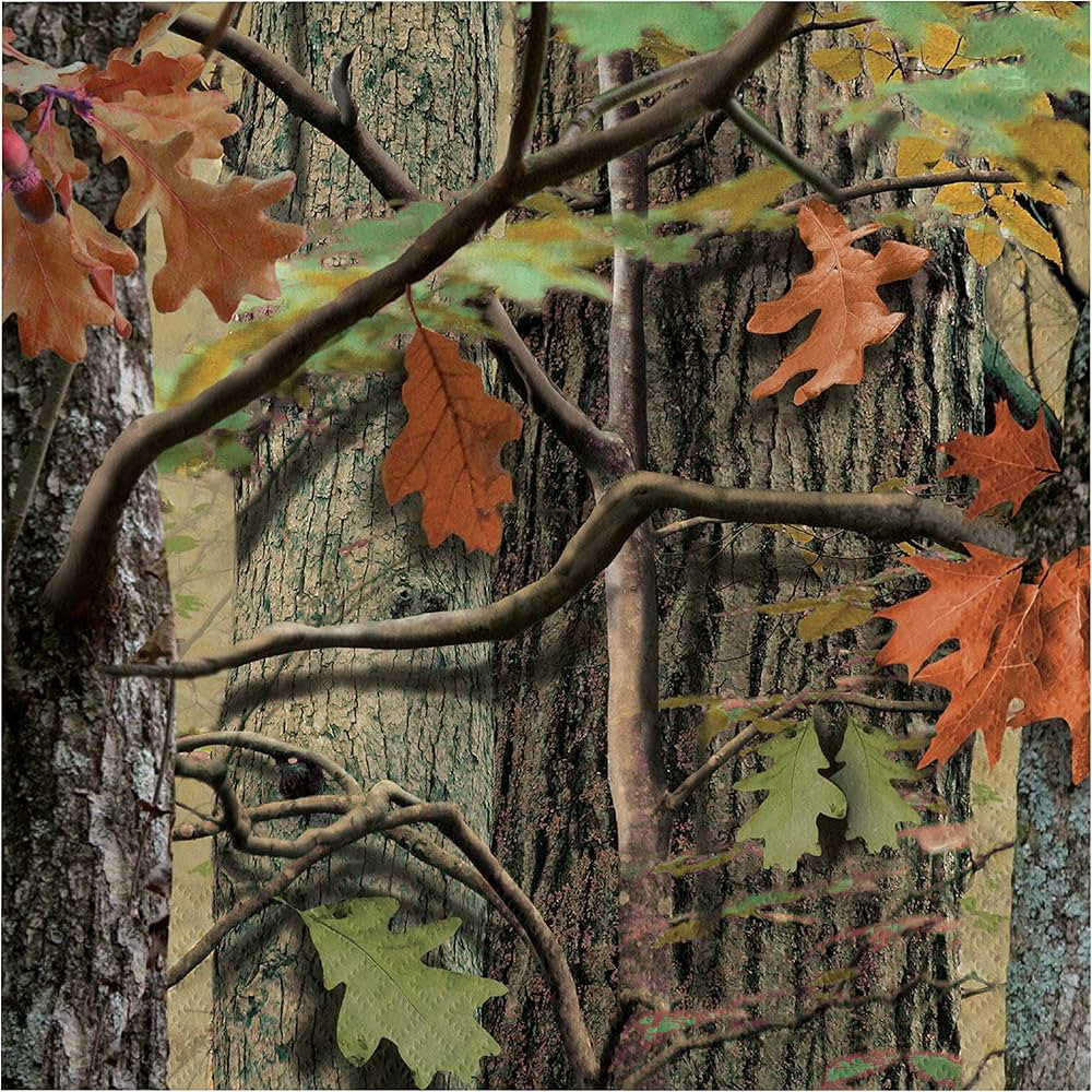 Hunting Camo Napkins, 48 ct | Amazon (US)