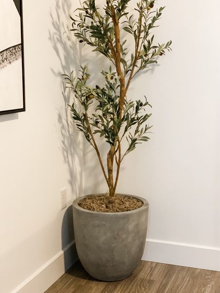 Faux Olive Tree / Cement Planter / Amazon Find / Home Office / Home Decor / Artificial Tree / Amazon Home

#LTKhome #LTKfindsunder100