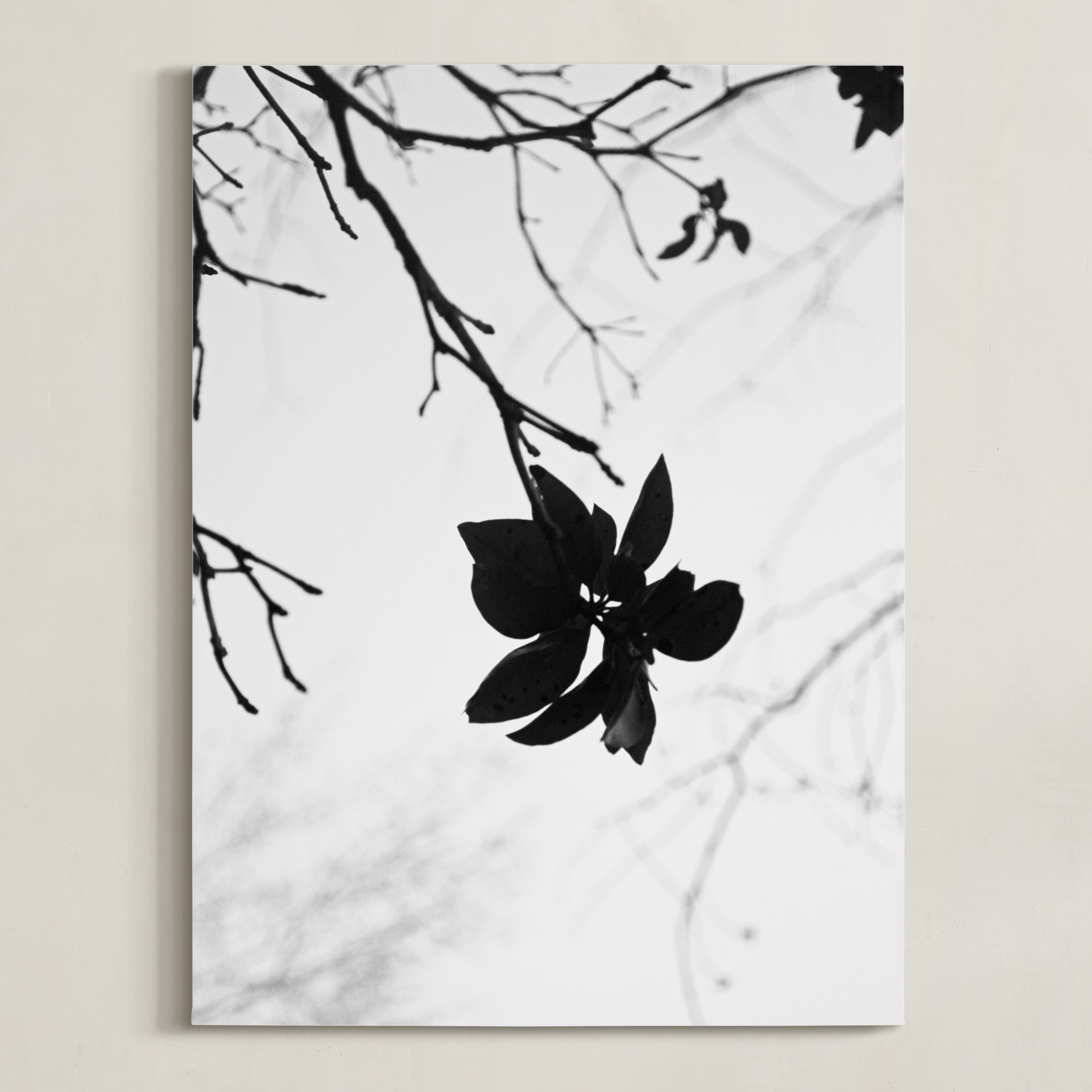 "Morning II" - Photography Limited Edition Art Print by Stellax Creative. | Minted