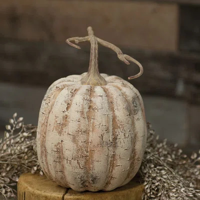 White Birch Pumpkin, 8 | Wayfair Professional