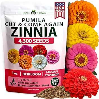 HOME GROWN Zinnia Seeds Mix – 4300 Pumila Compact Zinnia Flower Seeds for Planting Outdoors | B... | Amazon (US)