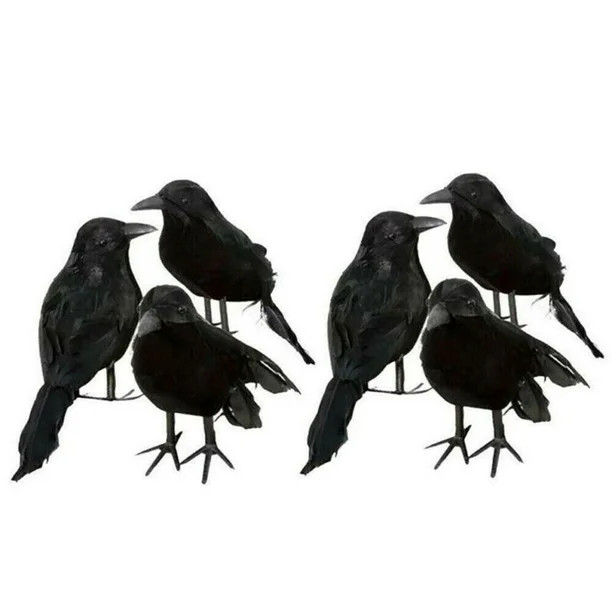 6pcs Halloween Black Feathered Realistic Looking Halloween Decoration Birds - Walmart.com | Walmart (US)