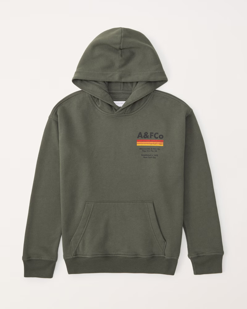 print graphic logo popover hoodie | Abercrombie & Fitch (US)