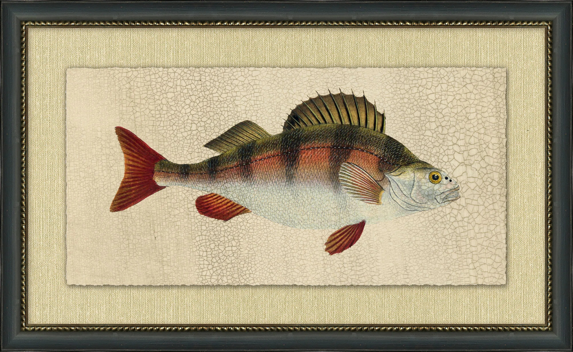 Fish Study " Fish Study 4 " Painting Print | Wayfair North America