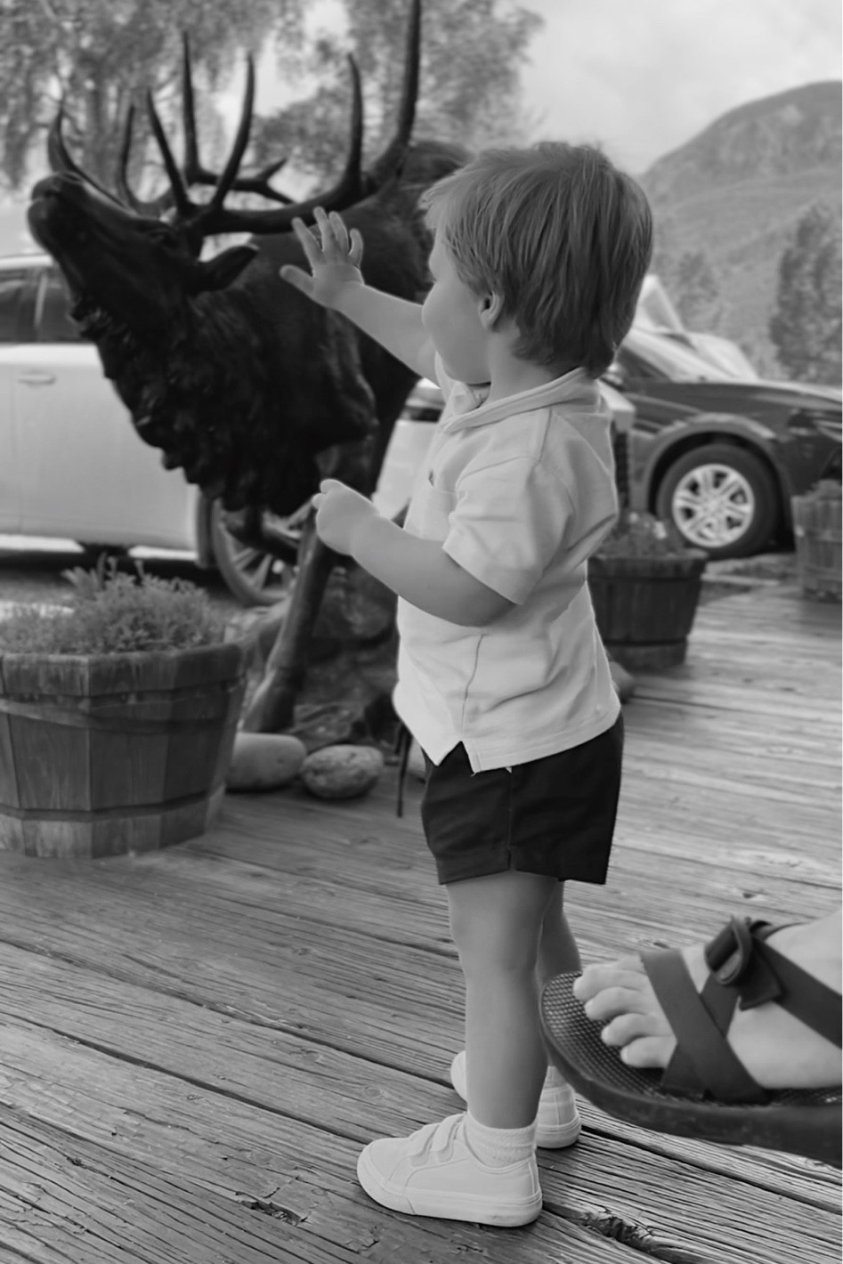 Cutest shorts for little boys! The perfect length, great quality, true to size, and wash well! Linking the 3 pairs we have and love 〰️ 

#LTKFindsUnder50 #LTKKids #LTKFamily