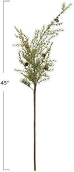 Creative Co-Op 45" H Faux Atlas Cedar Stem w/Pinecones Artificial Plants, Multi | Amazon (US)