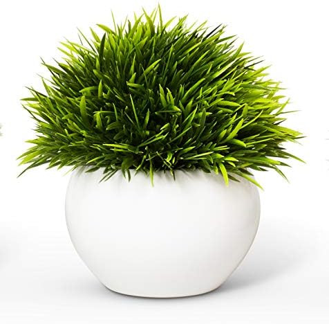 Mini Artificial Plant (5") in White Ceramic Pot | Decorative Faux Plant for Home/Office Decor | S... | Amazon (US)