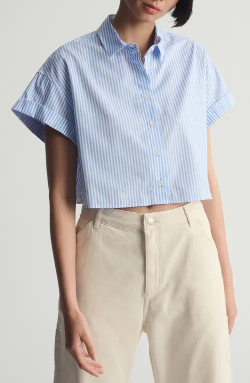 Brooklyn Industries Crop Button-Up Shirt in Blue Striped at Nordstrom, Size X-Small | Nordstrom