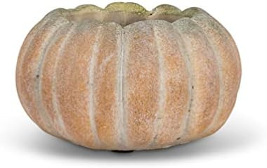 Abbott Collection Small Low Pumpkin Planter | Amazon (US)