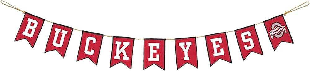 Ohio State University Tailgate Party Banner by Hanna's Handiworks | For School Parties, Graduatio... | Amazon (US)
