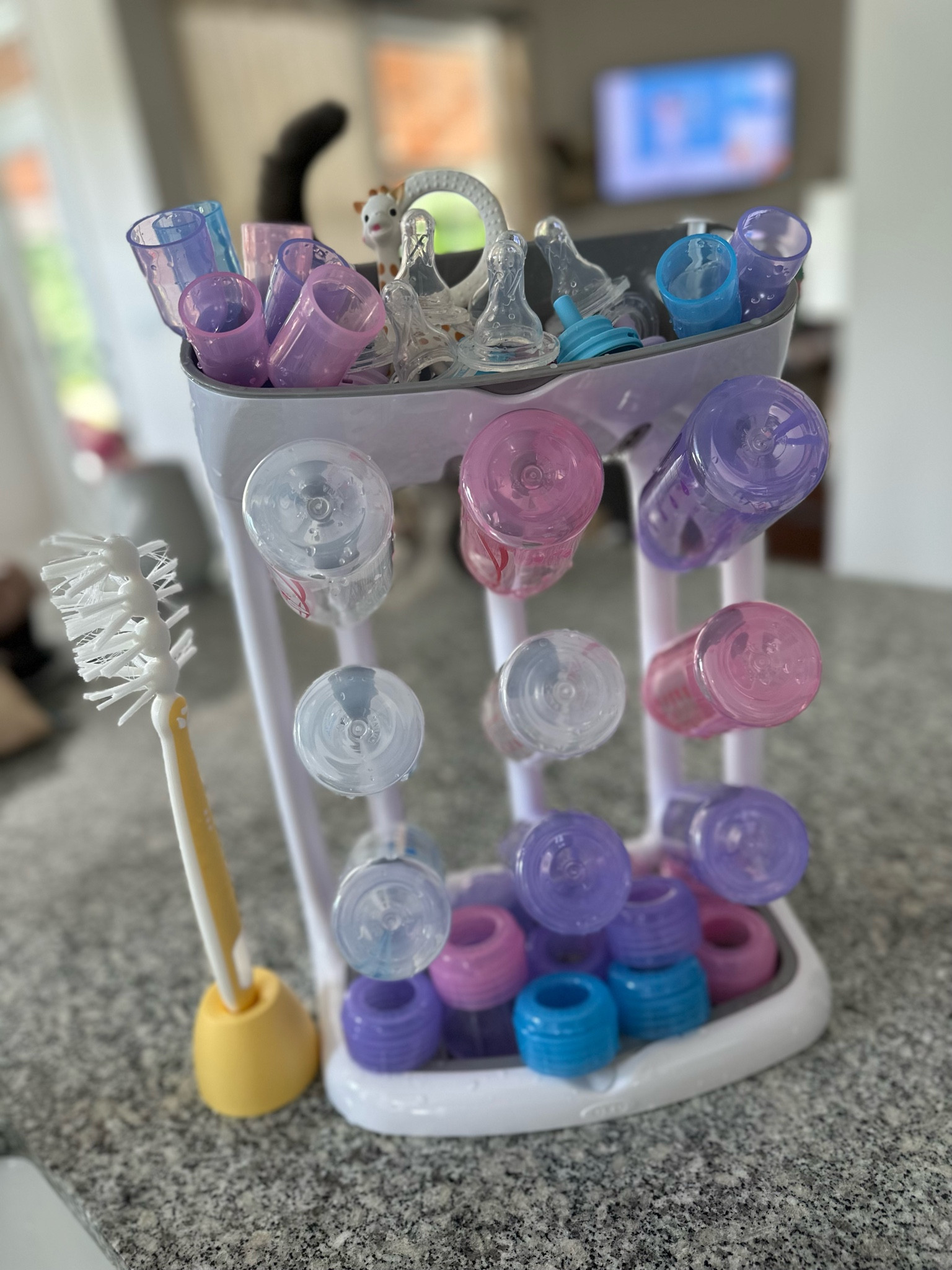 Baby Bottle Drying Rack, Bottle Brush & Anti-Colic Bottles

#LTKxPrimeDay #LTKbaby #LTKbump