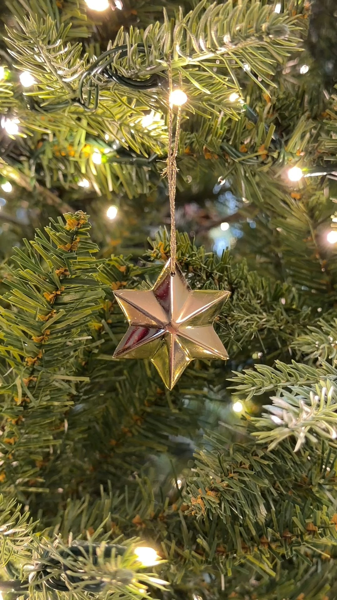 These little gold metal star ornaments from H&M are really pretty. 

I ordered 3 of the bundles of six and love the bit of shine they add to our tree  

#LTKFindsUnder50 #LTKHome #LTKHoliday
