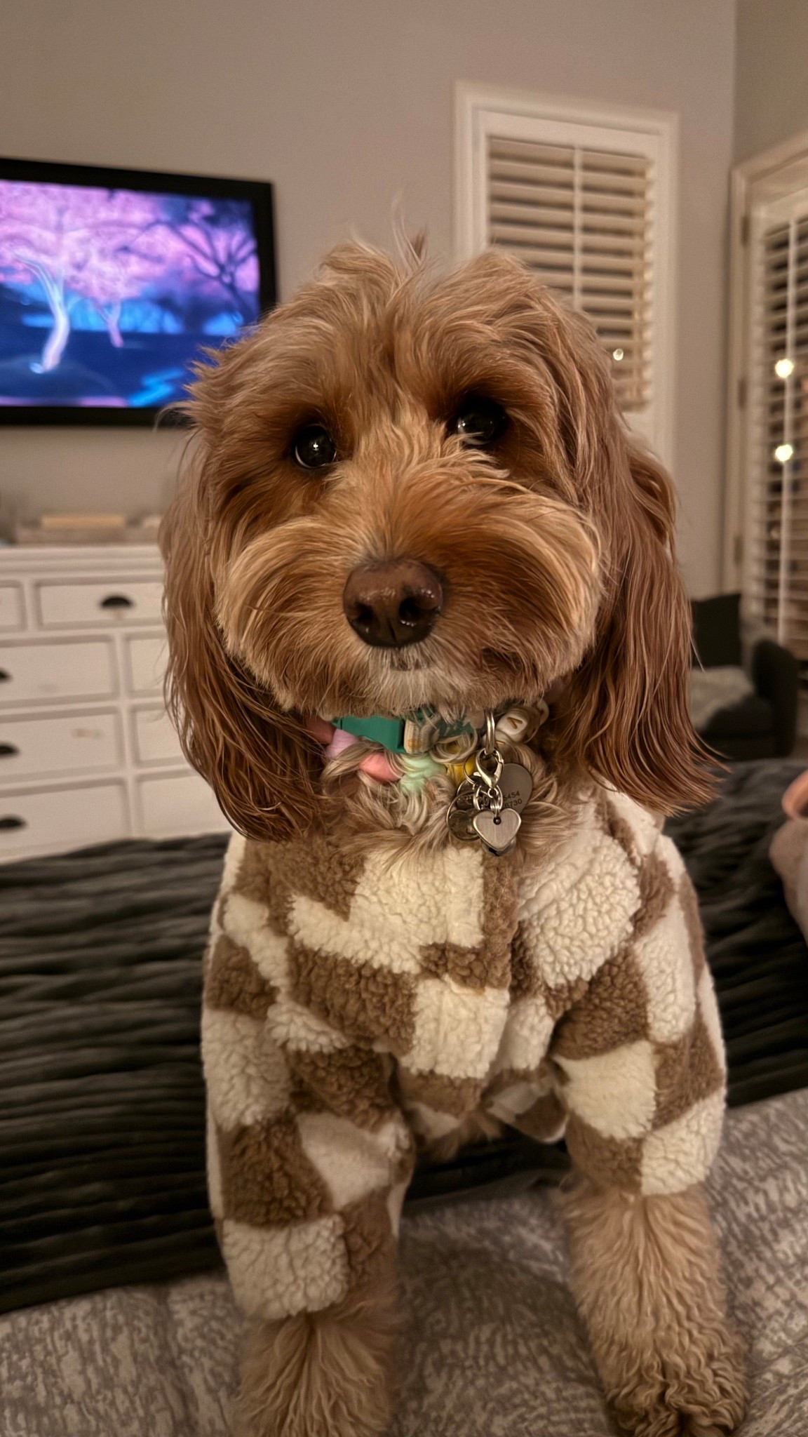 It’s Sweater weather!!! 