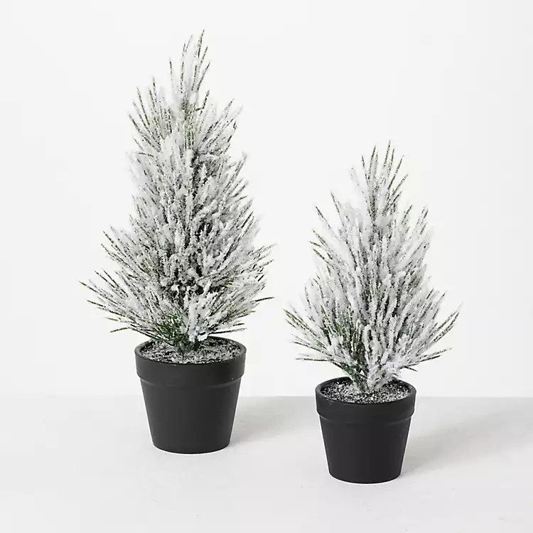 Snowy Potted Mini Pine Trees, Set of 2 | Kirkland's Home