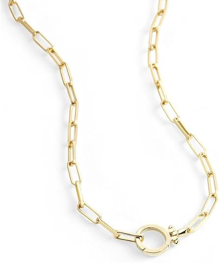 Mint & Lily Paperclip Chain Necklace for Women, Layering | Amazon (US)