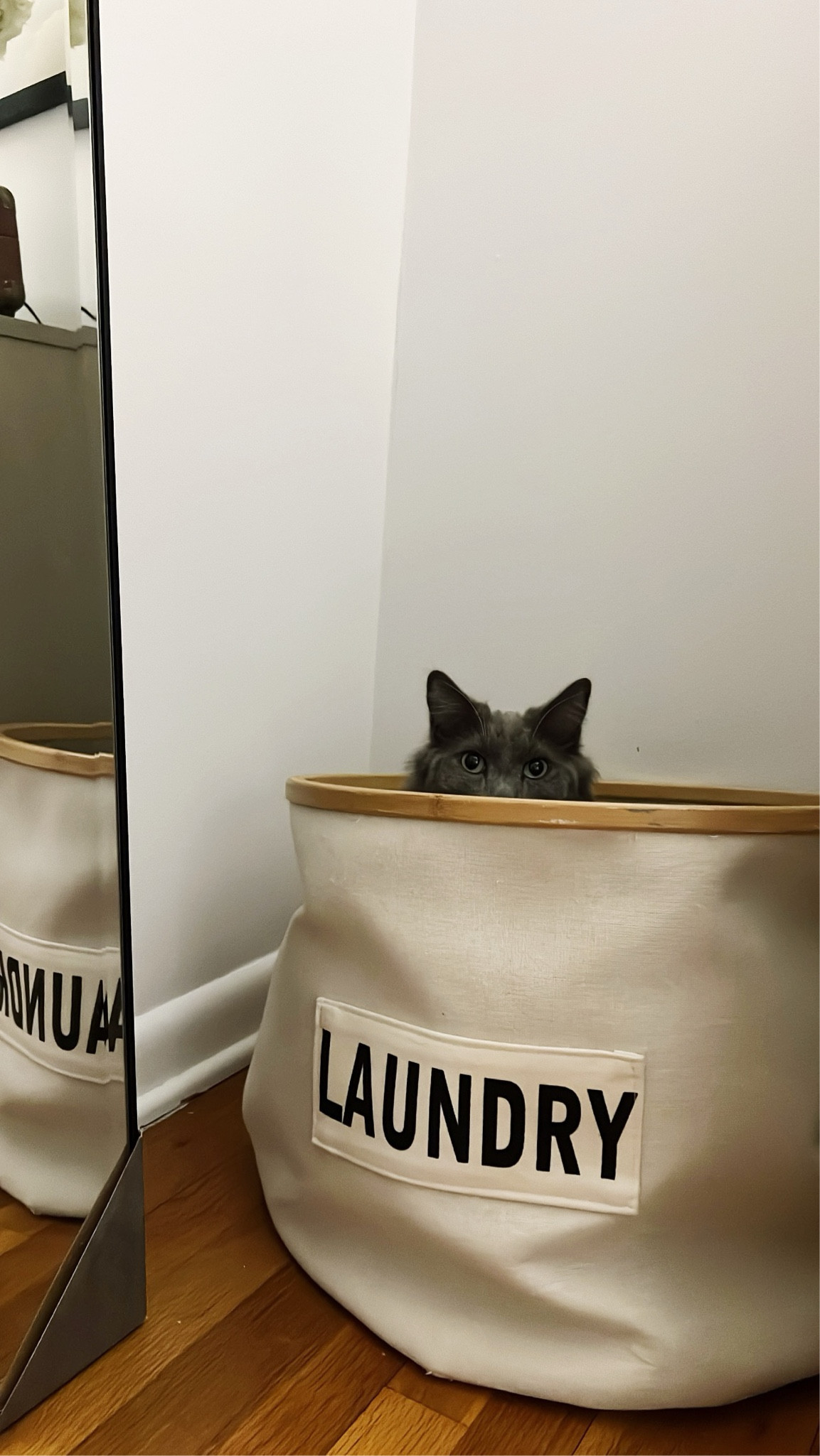 looks like I’m not the only one who loves this cutie laundry hamper ! perfect Xmas gift that you could also fill with smaller gifts!! 

#LTKhome #LTKGiftGuide #LTKHoliday