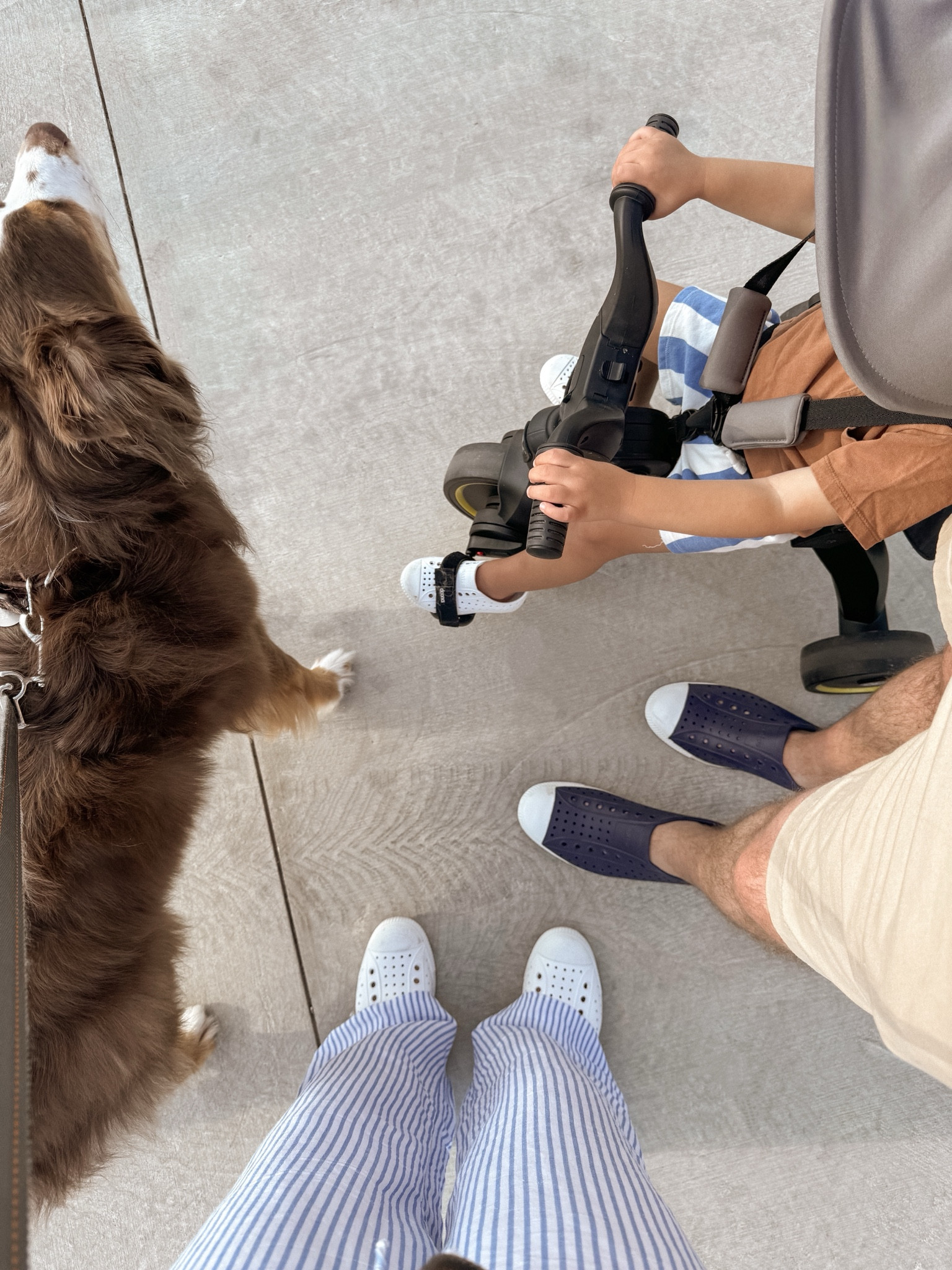 Native shoes for the whole fame! Wearing our tts (women’s 9, men’s 11, toddler 8) 🤍 #nativeshoes #nativejeffersons 

#LTKBaby #LTKKids #LTKFamily