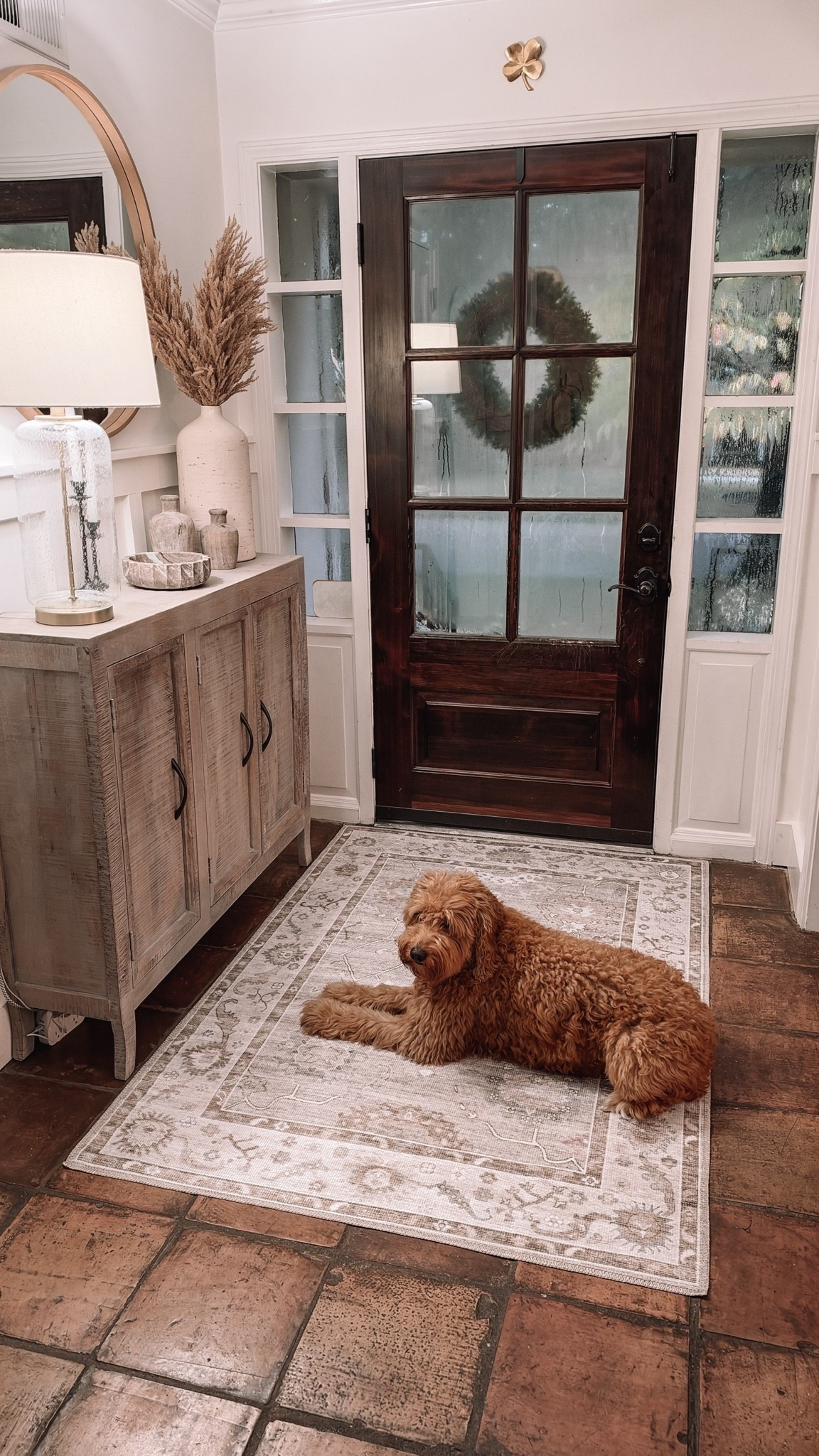 My new rug for my entryway— it’s a little bigger than I initially wanted, but I do love the color and how it brightens up the space, and it was only $55!! so if I decide to change it later, it didn’t cost me much money. I just need A sticker and bigger rug pad underneath😉

#LTKHome #LTKSaleAlert #LTKdayinmylife