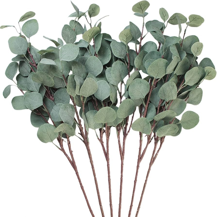 Artificial Eucalyptus Leaves, 6 Pcs Faux Dried Silver Dollar Eucalyptus Garland Branches Stems, F... | Amazon (US)
