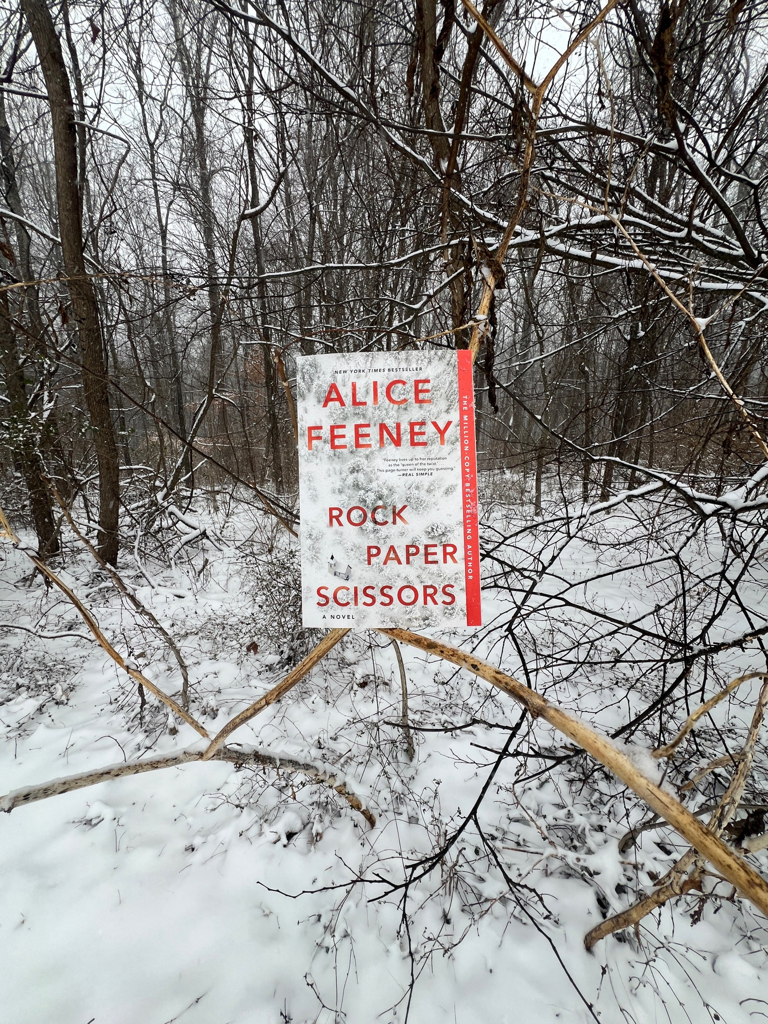 Things have been wrong with Mr and Mrs Wright for a long time. When Adam and Amelia win a weekend away to Scotland, it might be just what their marriage needs. Self-confessed workaholic and screenwriter Adam Wright has lived with face blindness his whole life. He can’t recognize friends or family, or even his own wife.

Every anniversary the couple exchange traditional gifts—paper, cotton, pottery, tin—and each year Adam’s wife writes him a letter that she never lets him read. Until now. They both know this weekend will make or break their marriage, but they didn’t randomly win this trip. One of them is lying, and someone doesn’t want them to live happily ever after.

Ten years of marriage. Ten years of secrets. And an anniversary they will never forget.

Rock Paper Scissors is the next exciting domestic thriller from the queen of the killer twist, New York Times bestselling author Alice Feeney. 


#LTKeurope #LTKfindsunder50 #LTKSeasonal