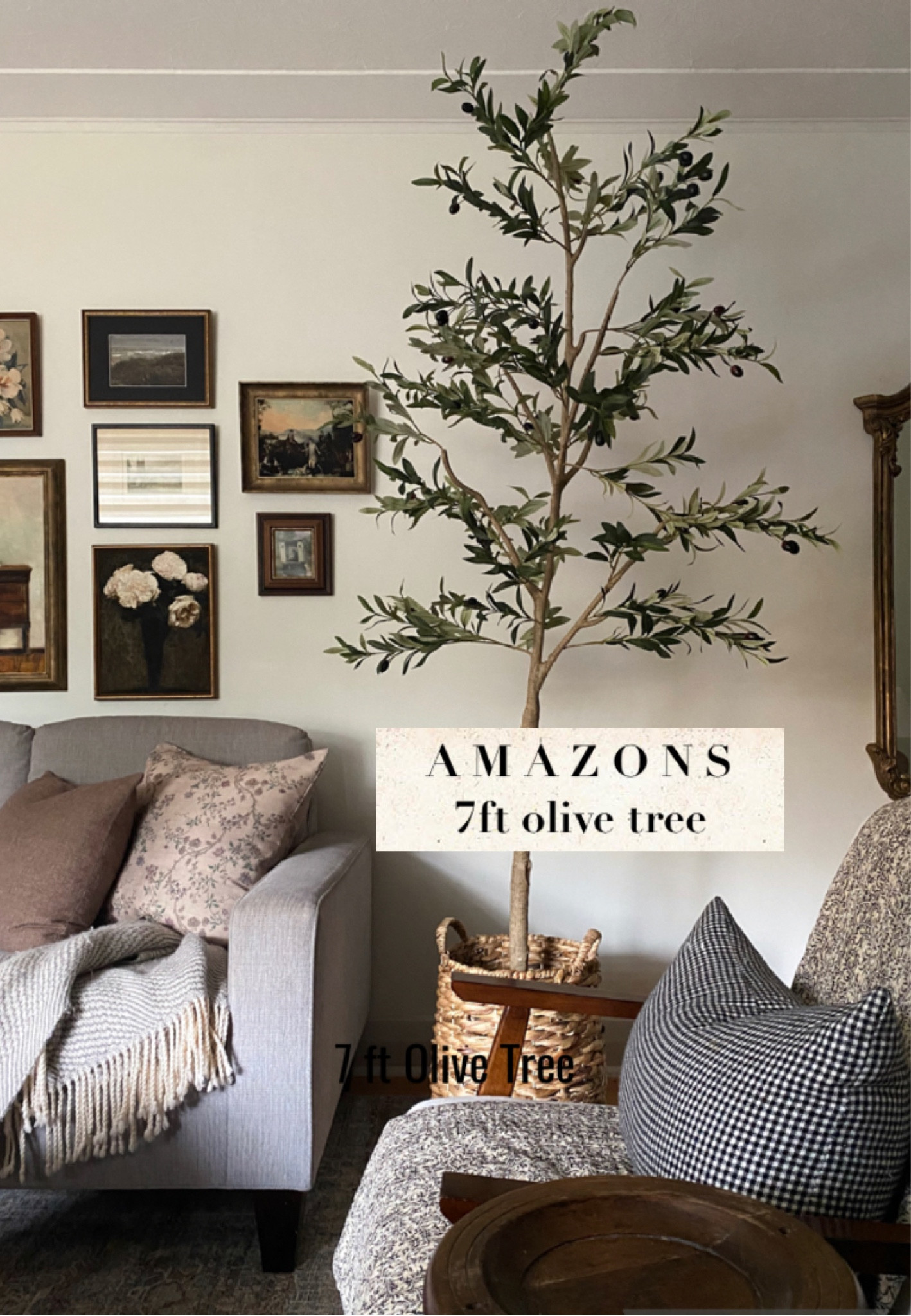 Amazons 7ft olive tree 

#LTKhome #LTKGiftGuide #LTKsalealert